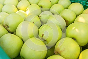 Yellow Ripe ApplesÂ in Plastic Crates,Â Orchard, Apples Ready for Market